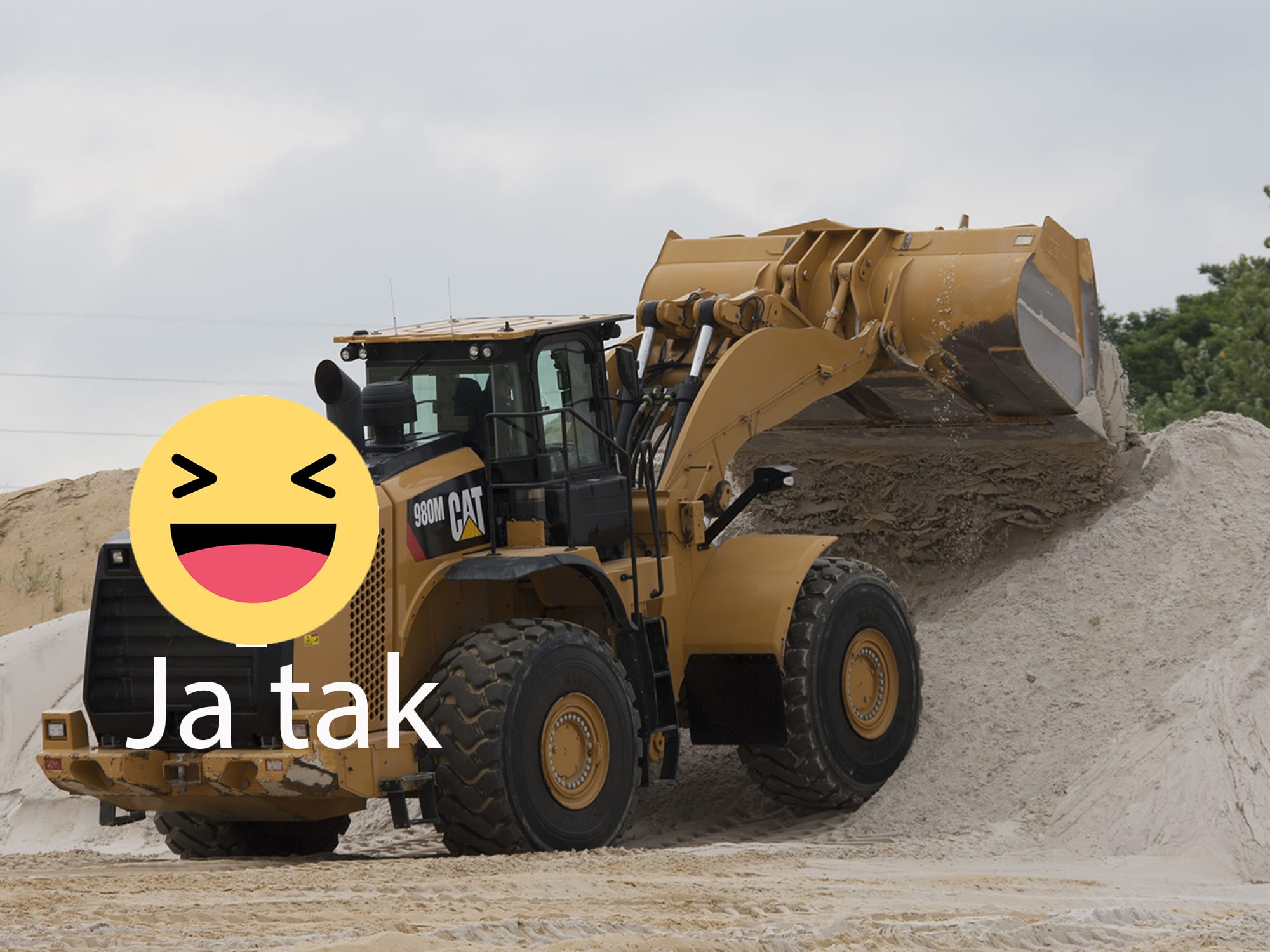 billede-med-emoji
